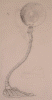 Lampdrawng.gif (90312 bytes)