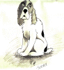 toon_scooper_Smll.gif (164312 bytes)